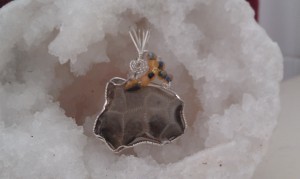 Petoskey Stone