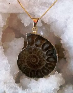 Sacred Geometry Ammonite Pendant