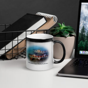 Graceful Leopard Sharks of La Jolla Shores Glossy Magic Mug